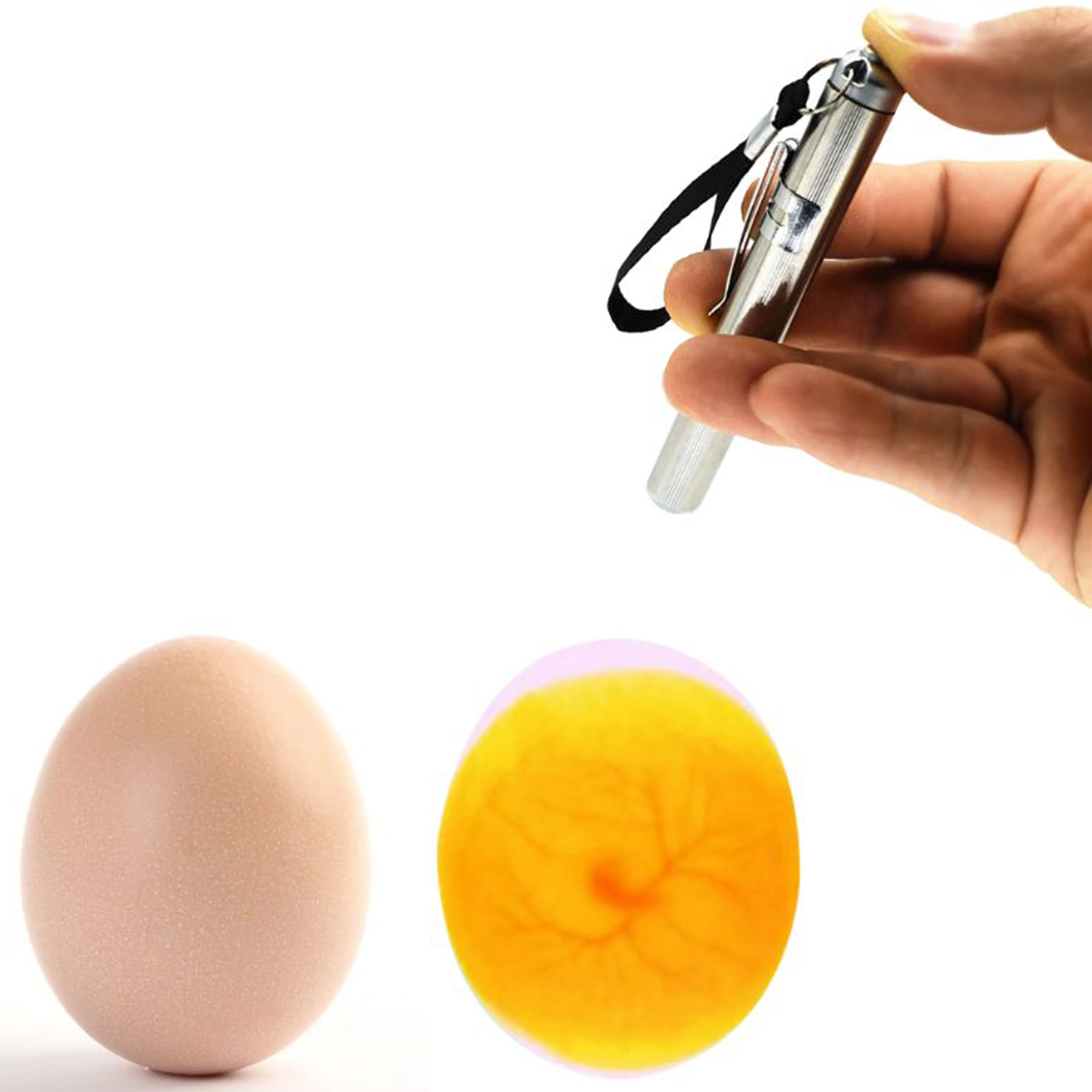 Candle Making Thermometer - Vela de huevos monitoreo desarrollo de